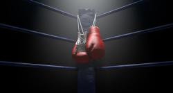 Free Boxing Streams: The Ultimate Guide for Fight Fans
